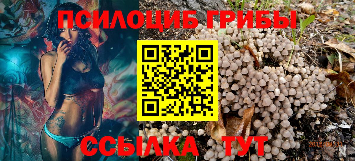 Орск  Псилоцибиновые грибы Psilocybine cubensis  Вход с VPN  Псилоцибиновые грибы Magic Shrooms 